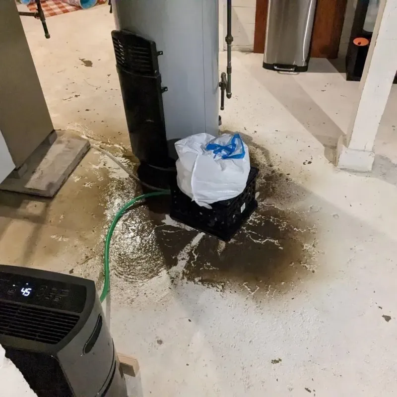 Sewage Backup Cleanup Service in Caln, PA